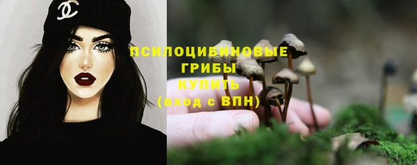COCAINE Михайлов