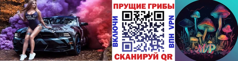 Псилоцибиновые грибы мицелий Ахтырский